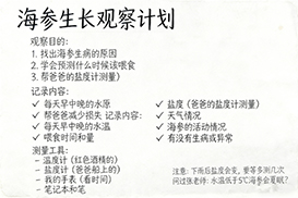 海参生长观察计划